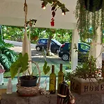 Tabua Village Madeira Vip Ribeira Brava