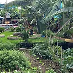 Tabua Village Madeira Vip