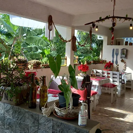 Hébergement de vacances Tabua Village Madeira Vip Ribeira Brava