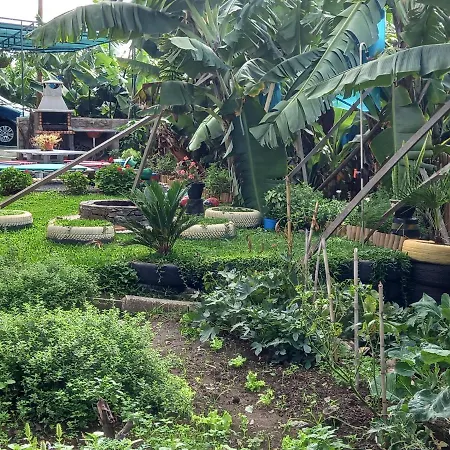 Tabua Village Madeira Vip