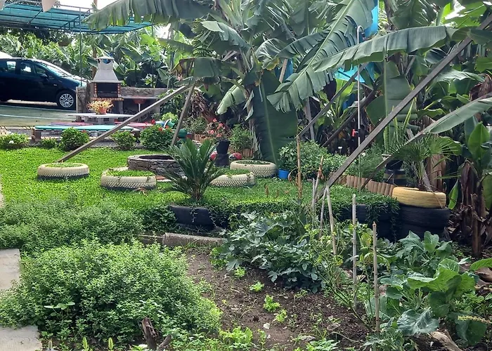 Tabua Village Madeira Vip