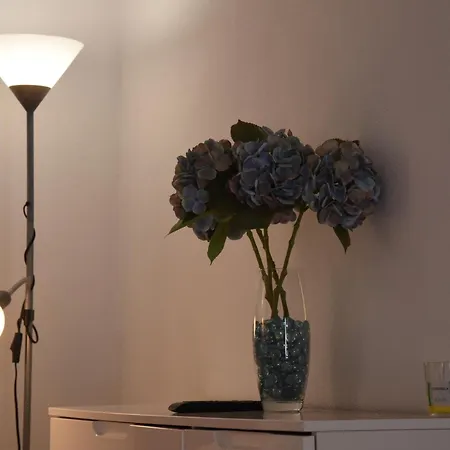 Tabua Village Madeira Vip 리베이라브라바